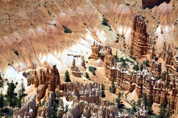 Detailaufnahme des Bryce Canyon National Park