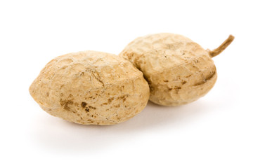 Peanut with white background, close up