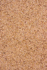 Sesame Seeds, Background
