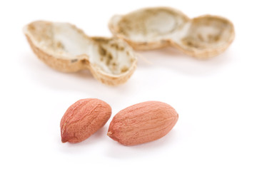 Peanuts with white background, close up
