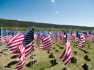 American flags, memorial for Vietnam war veterans