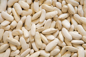 Photo of many white beans for use as background