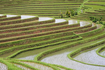 Bali 0293 © Siegfried Schnepf