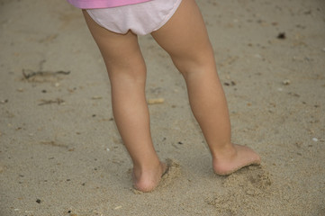 cannelle#1