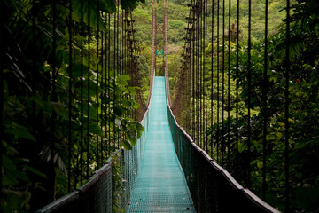 Fototapety  a hanging bridge in the costa rican jungle