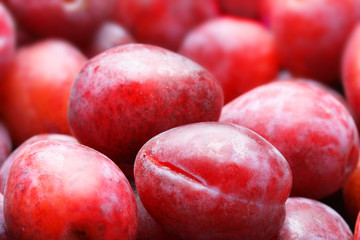 Lots red ripe plums close-up. Shallow DOF!
