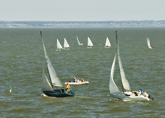 Sports yachts in the sea - a regatta.