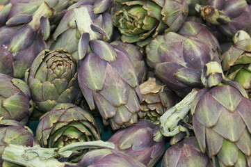 Obraz premium Artischocken