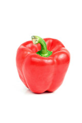 Rote Paprika