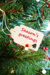Season's greetings card in a Christmas tree. © Barbara Helgason
