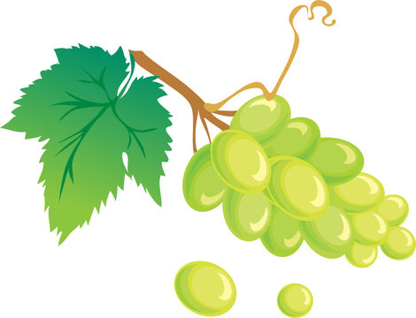 Green Grapes