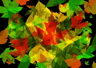 Blätter Herbst