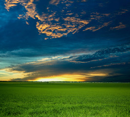 An image of green field under dramathic sky