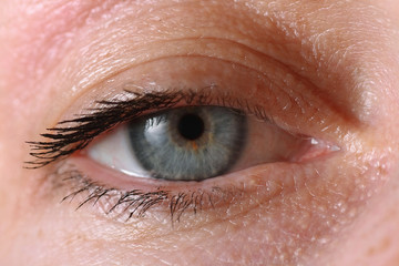 Fototapeta premium Auge