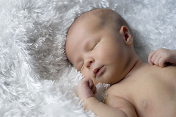 Newborn sleeping on fur