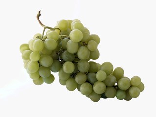 bunch of white grapes