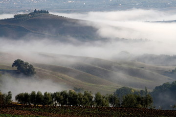 Morgennebel in der Toskana, Crete, Val d Orcia, Italien