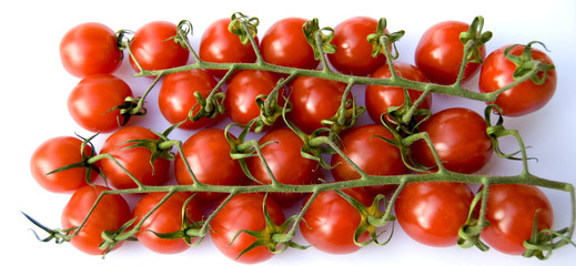 tomatoes