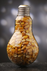 Nuove idee nell agricoltura