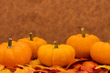 Fall leaves with pumpkin on brown background, fall harvest