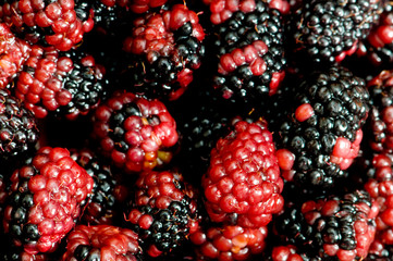 Lots of berries arranged at the background
