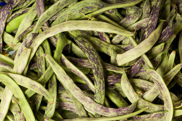 Lots of green pods at the background