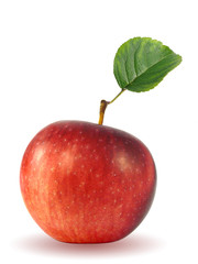 red apple