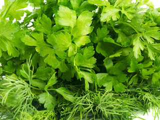 closeup of fresh green parsley and dill