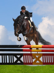show jumping - woman and horse