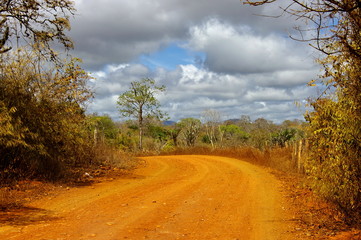 Route de terre, Campagne brésilienne. Brazilian road.