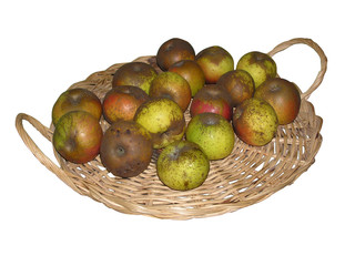 1673 - Panier de pommes (masque de détourage inclus)