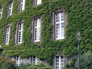 Naklejka premium sprossenfenster