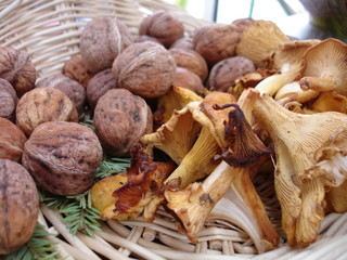 douceur d'automne