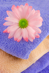 Obraz na płótnie Canvas an abstract of beige and blue towels with pink daisy on top