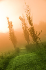 beautiful sunrise over a field in the countryside