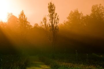 Fototapeta na wymiar beautiful sunrise over a field in the countryside