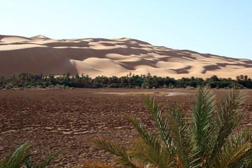 Desert et oasis saharien de Libye