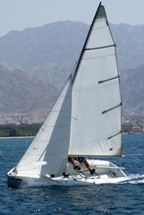 Naklejka premium Team sailing on a small sail boat