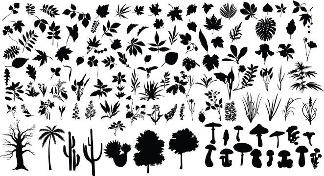 Silhouettes of different plants