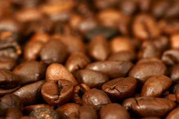 macro of coffee beans