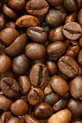 detail of coffee beans