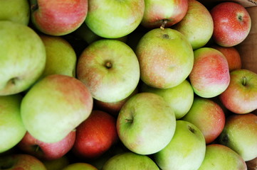 Basket of apples