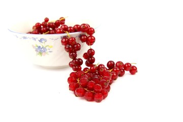 Rote Johannisbeeren