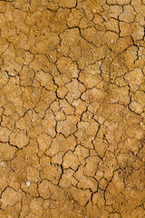 Crackles in the ground on a dehydrated soil