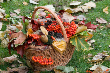 autumn basket