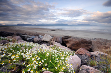 the Inch Beach Dingle