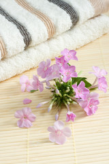 Obraz na płótnie Canvas Spa accessories. Pink flower and towel.
