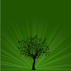 vector serie - tree on a green background