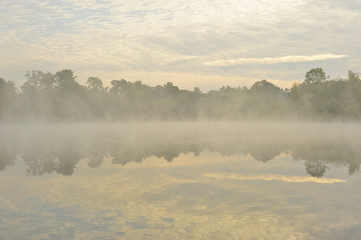 Fototapeta premium Brume