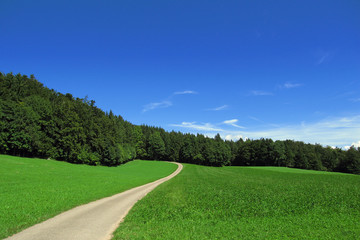 Fototapeta na wymiar Beautiful landscape – countryroad in the nature with blue sky